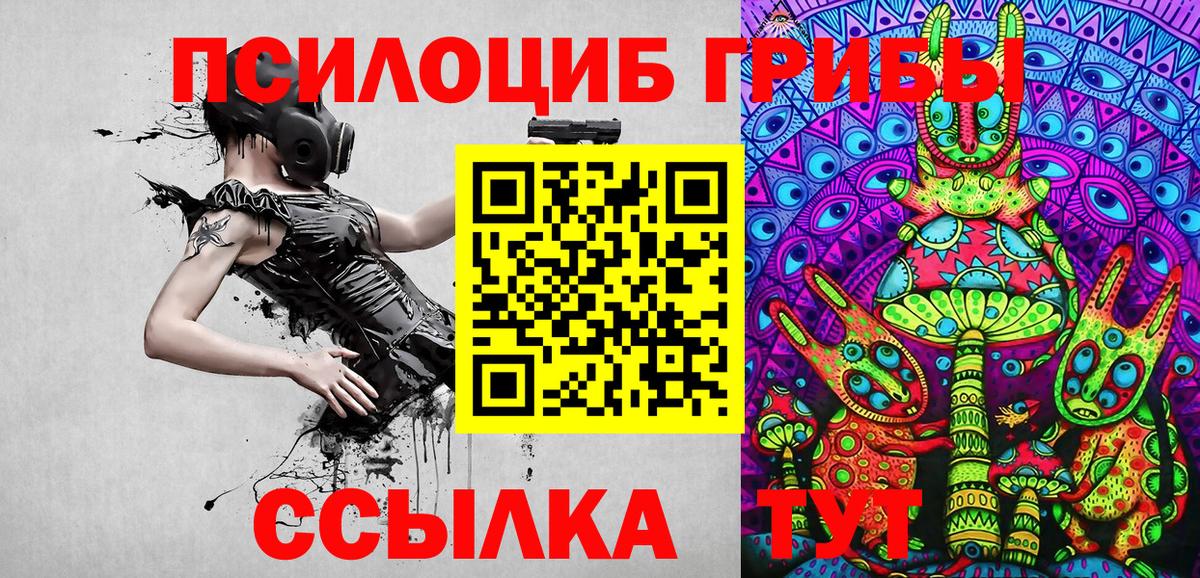 Псилоцибиновые грибы мицелий Пушкино