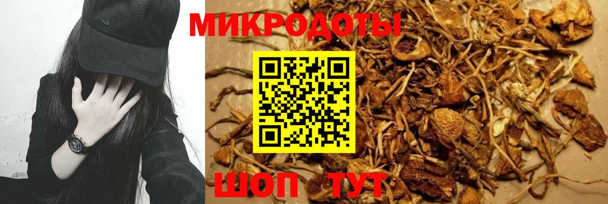 Пушкино  Псилоцибиновые грибы прущие грибы  Вход с VPN 